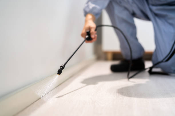 Professional exterminator conducting IPM assessment in Brookfield